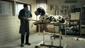 Dogman's poster