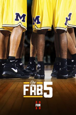 The Fab Five's poster