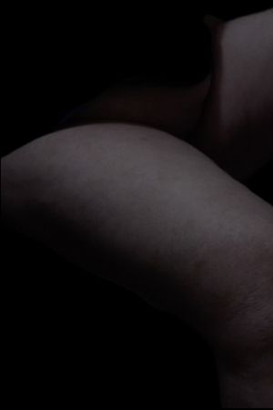 The Shell's poster
