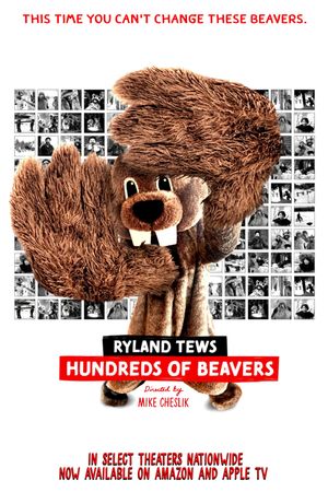 Hundreds of Beavers's poster