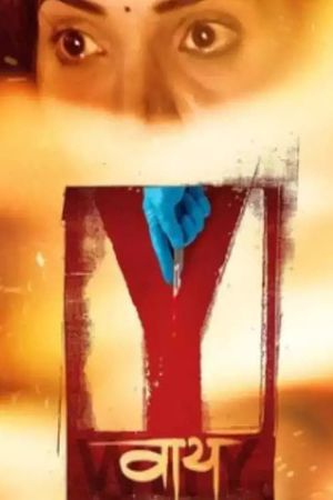 Y's poster