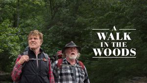 A Walk in the Woods's poster