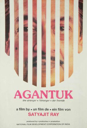 The Stranger's poster