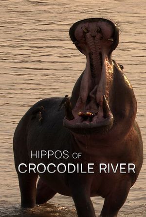 Hippos of Crocodile River's poster