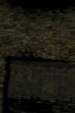 7 Videos: #4's poster