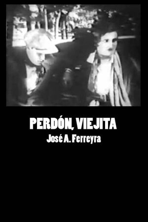 Perdón, viejita's poster image