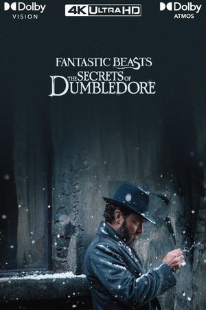 Fantastic Beasts: The Secrets of Dumbledore's poster