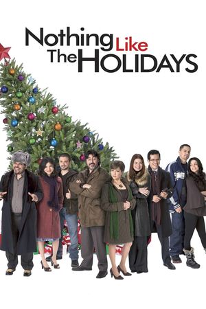 Nothing Like the Holidays's poster
