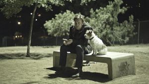 Beginners's poster
