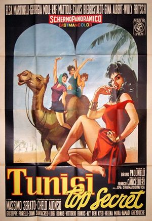 Tunis Top Secret's poster image