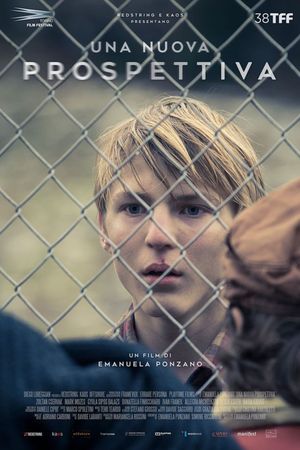 A New Perspective's poster