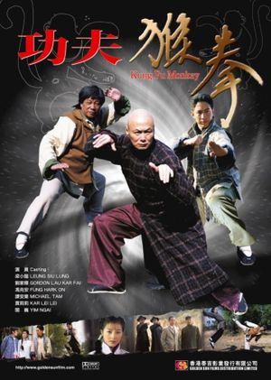 功夫猴拳's poster