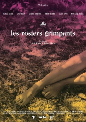 The Climbing Roses's poster