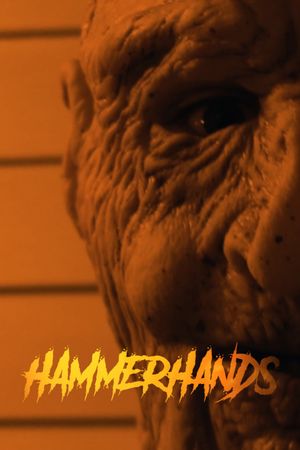 HammerHands's poster