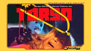 Torso's poster