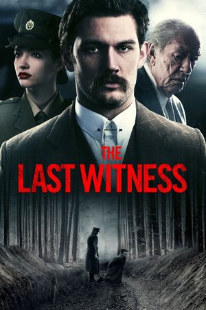 The Last Witness's poster