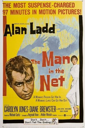 The Man in the Net's poster image