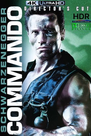 Commando's poster