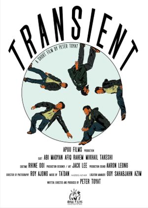 Transient's poster