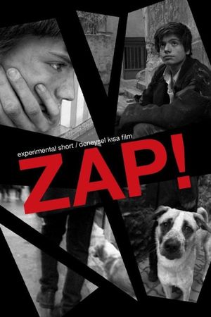 Zap's poster