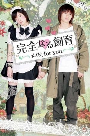 Perfect Education: Maid, for You's poster
