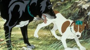 The Plague Dogs's poster