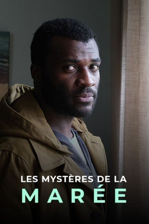 Les Mystères de la marée's poster