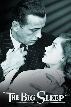 The Big Sleep's poster