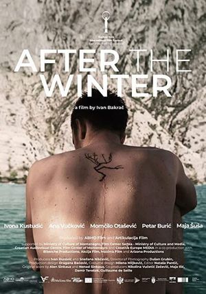 After the Winter's poster