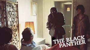 The Black Panther's poster