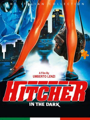 Hitcher in the Dark's poster