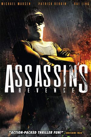 Assassins Revenge's poster