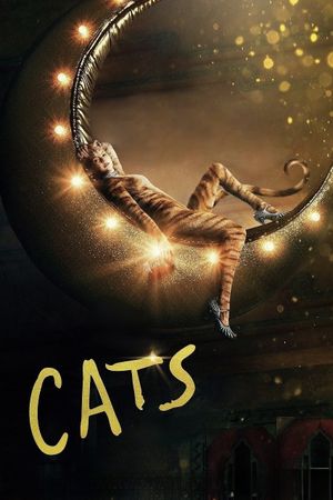 Cats's poster