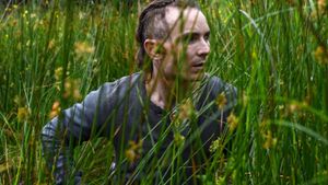 The Survivalist's poster