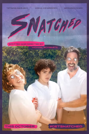 Snatched's poster