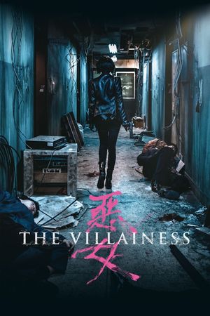 The Villainess's poster