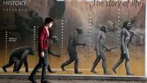 Warm Bodies's poster