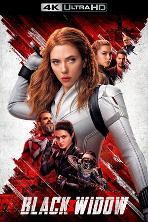 Black Widow's poster