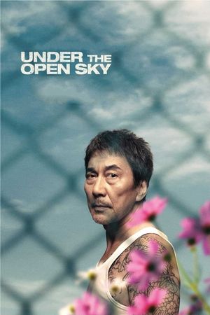 Under the Open Sky's poster image