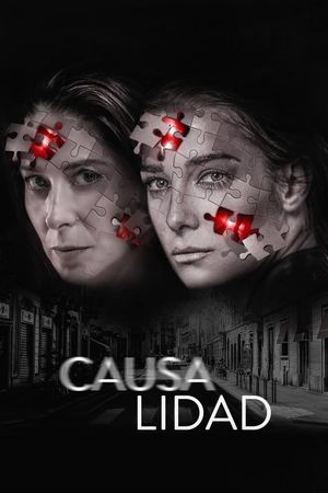 Causality's poster