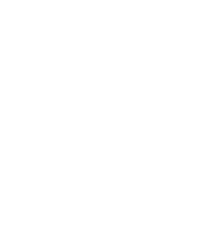 X's poster