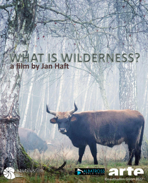 What is Wilderness's poster