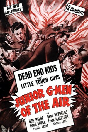 Junior G-Men of the Air's poster