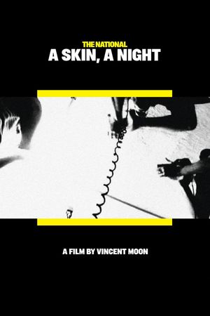 A Skin, A Night's poster image