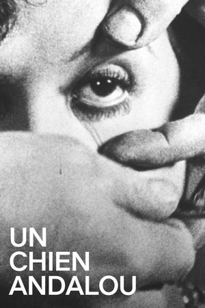 Un Chien Andalou's poster
