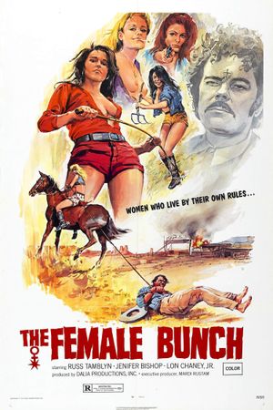 The Female Bunch's poster