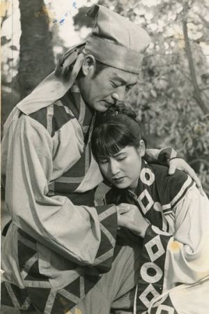 The Shadowless Pagoda's poster
