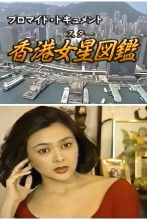 The Illustrated Guide to Hong Kong Stars's poster