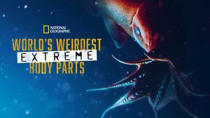 World's Weirdest: Extreme Body Parts's poster