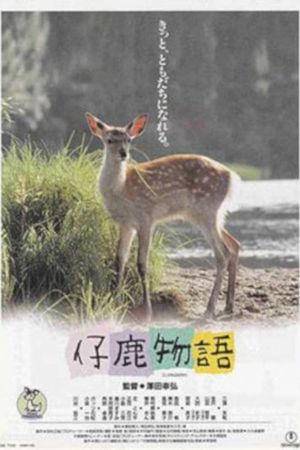 Deer Friend's poster